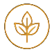 Energy Conscious Design
